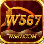 W567 Game