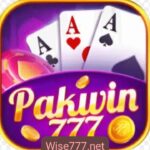 PAKWIN777 GAME